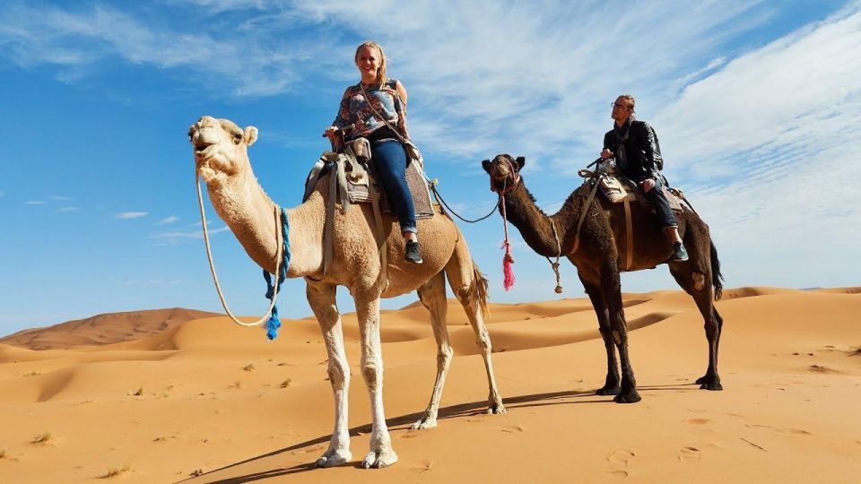 From Agadir : Camel Ride & Spa Half-Day Trip - Key Points