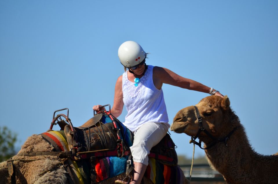 From Agadir or Taghazout: Camel Ride and Flamingo River Tour - Key Points