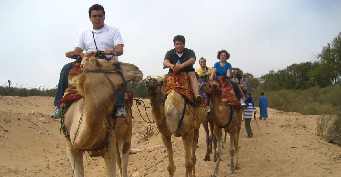 From Agadir or Taghazout: Camel Ride and Flamingo River Tour - Key Points