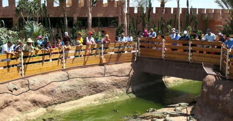 From Agadir or Taghazout: Crocoparc Trip With Entry Ticket