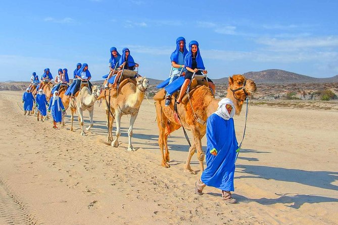 From Agadir or Taghazout or Port 2 Hours Camel Ride - Key Points