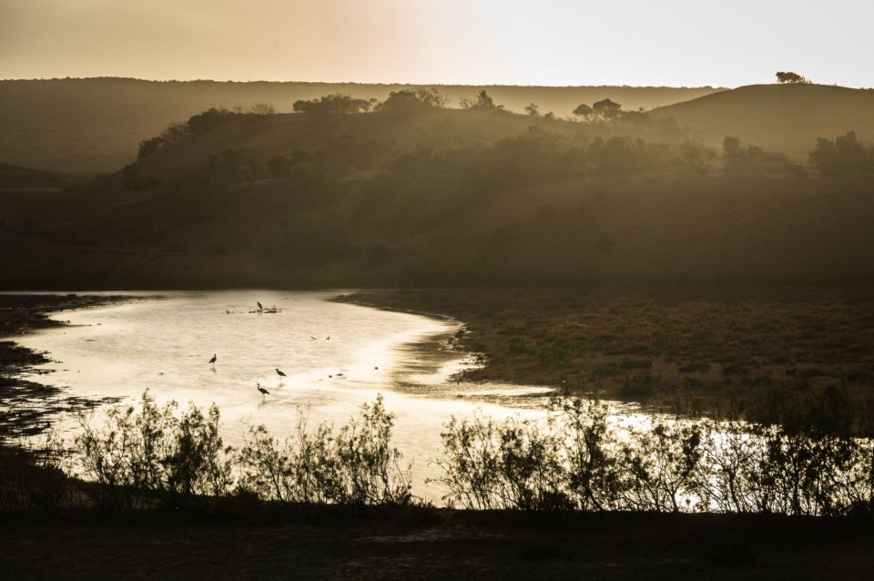 From Agadir: Sous Massa National Park Desert Safari W/Lunch - Key Points