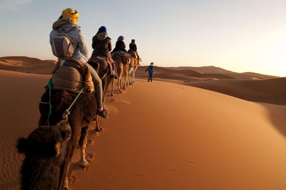 From Agadir/Taghazout: Sahara Sand Dunes With Transfer - Key Points