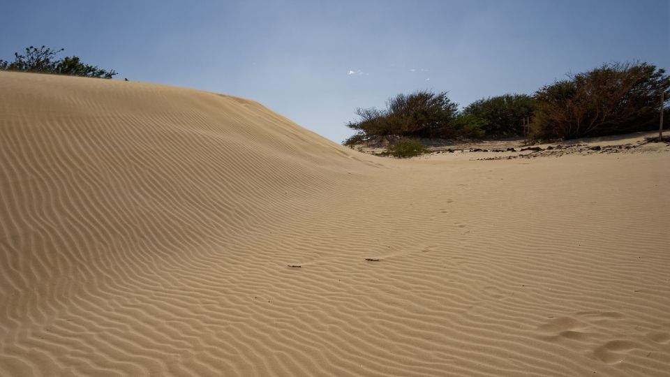 From Agadir/Taghazout: Sahara Sand Dunes With Transfer - Key Points