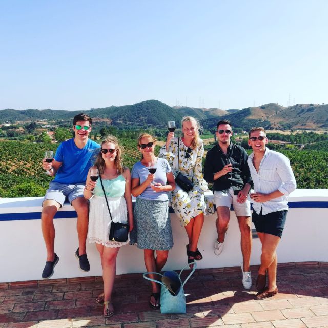 From Albufeira: Full-Day Wine Tasting Tour With a Guide - Key Points
