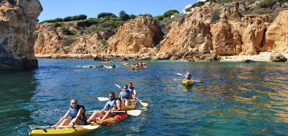 From Albufeira Marina: Benagil Caves Kayaking - Key Points