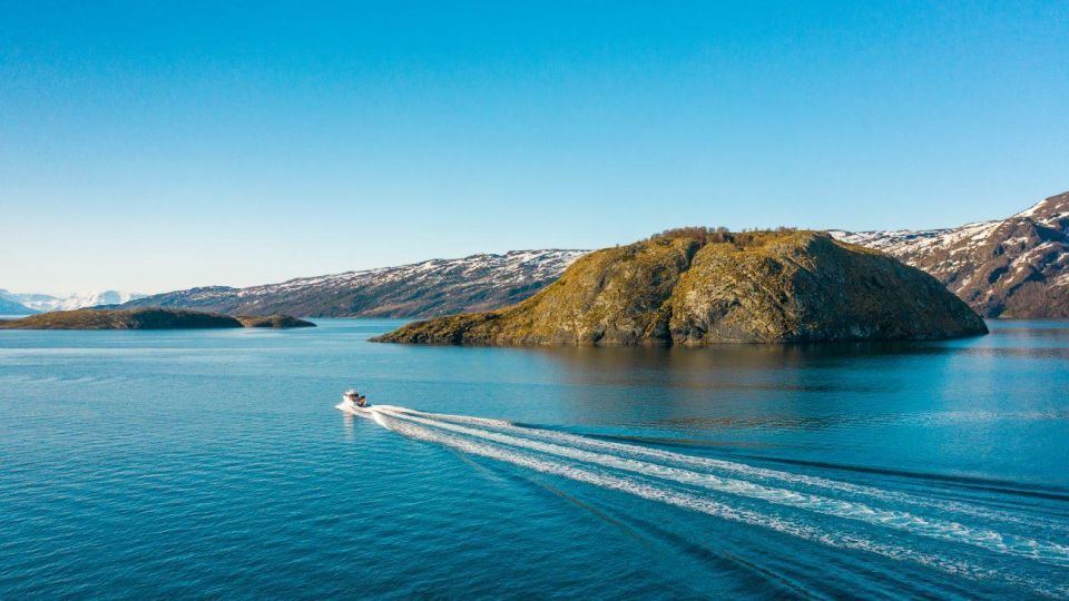 From Alta: Adventure Cruise in Alta Fjord - Key Points
