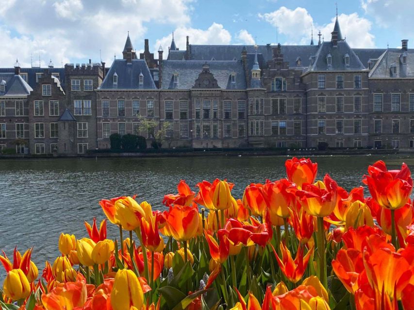 From Amsterdam: Guided Trip to Rotterdam, Delft & The Hague - Key Points
