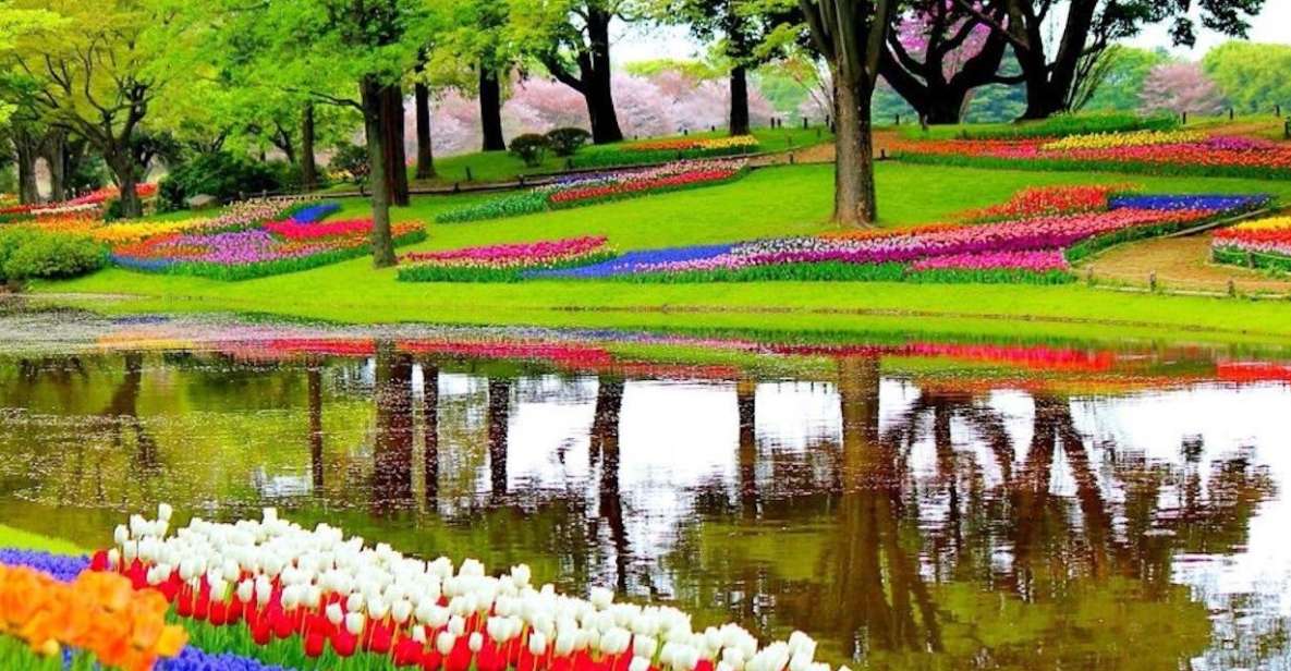 From Amsterdam: Private Keukenhof and Tulip Experience Tour - Key Points