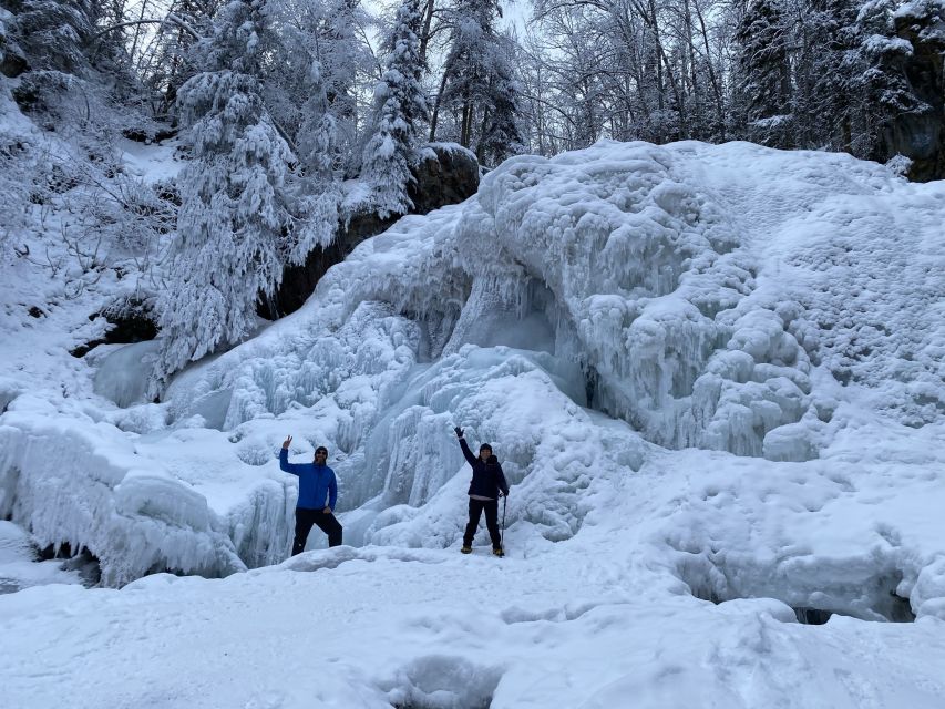 From Anchorage: Chugach State Park Winter Walking Tour - Key Points