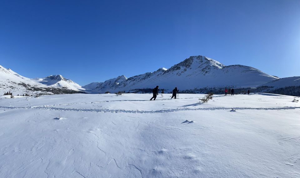 From Anchorage: Glen Alps Beginner's Snowshoeing Adventure - Activity Details