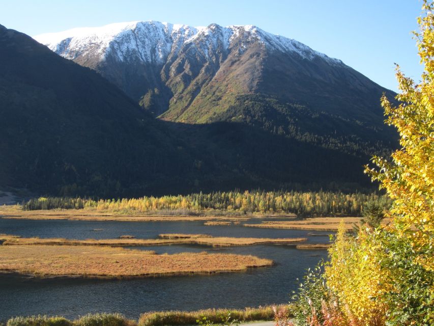 From Anchorage: Turnagain Arm and Wildlife Center Tour - Key Points