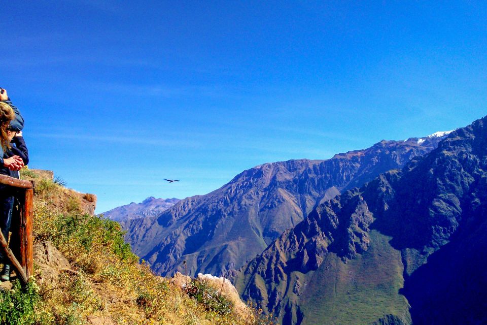 From Arequipa: 2-Day Colca Canyon Tour With Transfer to Puno - Key Points