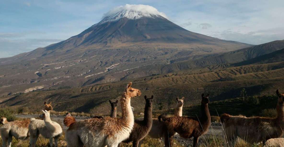 From Arequipa: 2-Day Excursion to Misti Volcano - Key Points