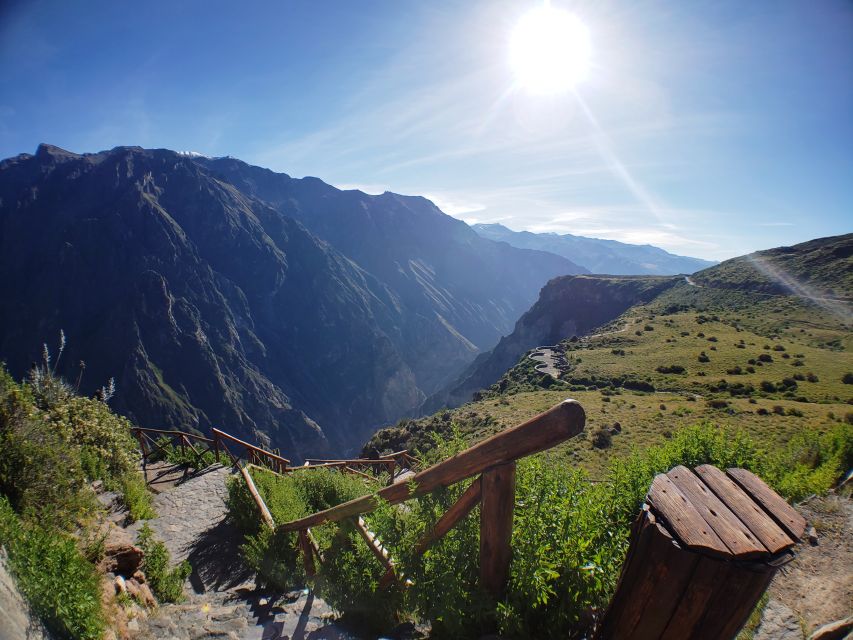 From Arequipa: Colca Canyon Full-Day Guided Tour - Key Points