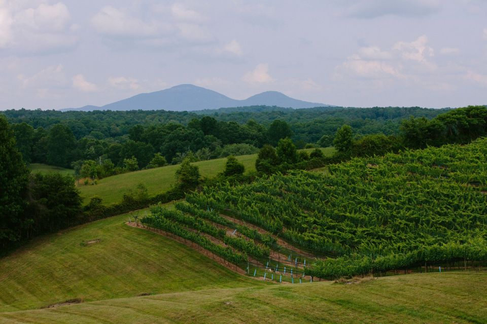 From Atlanta: Half-Day Wine Country Tour - Key Points