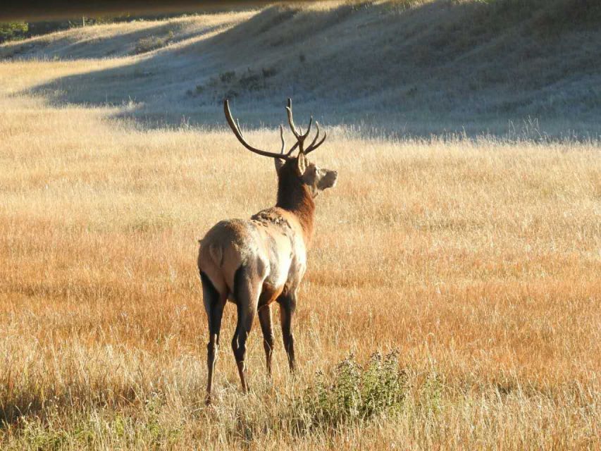 From Banff: Banff National Park Guided Day Tour - Key Points