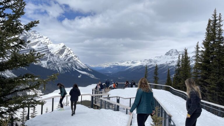 From Banff: Icefield Parkway Scenic Tour With Park Entry