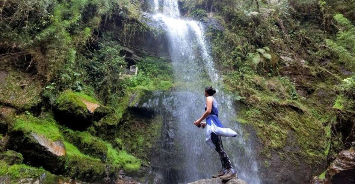 From Bogota: Hike to Colombia's Highest Waterfall - Key Points