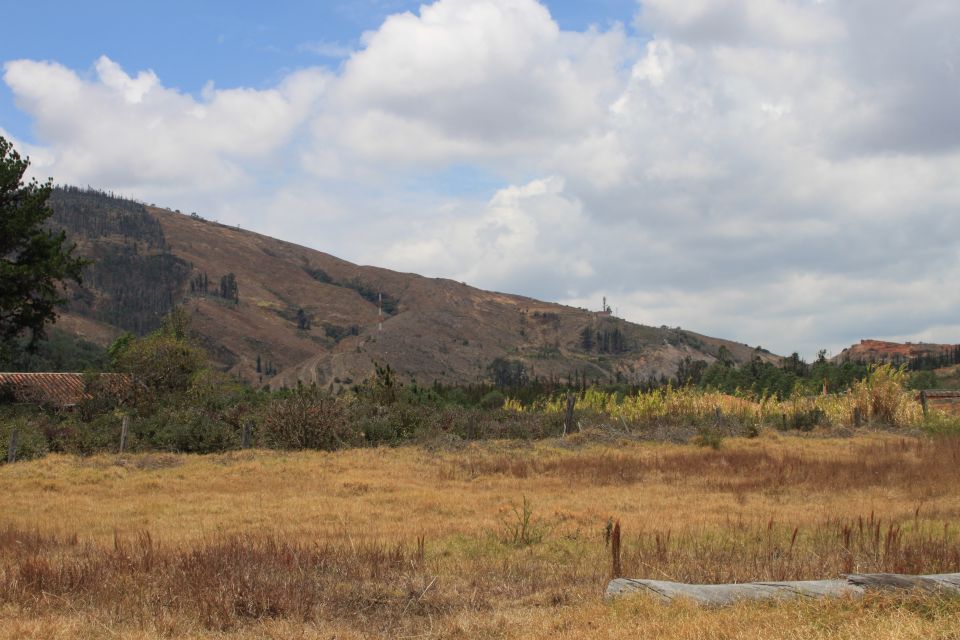 From Bogotá: Private Tour to Villa De Leyva - Key Points