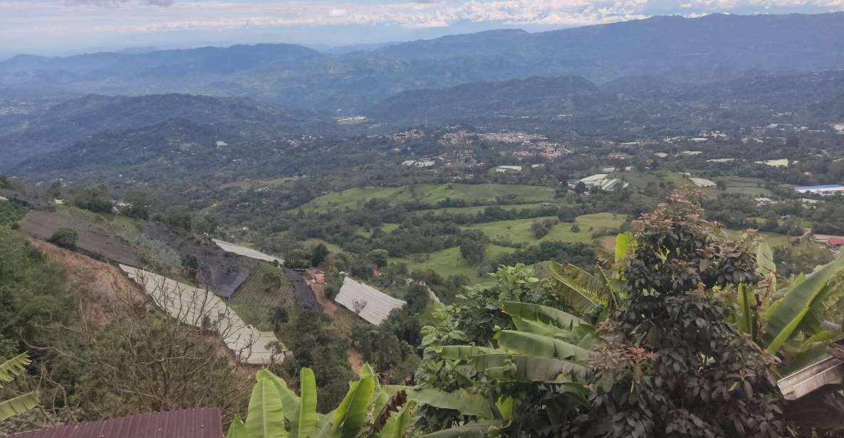 From Bogota: Tour to a Marihuana Organic Farm. - Key Points