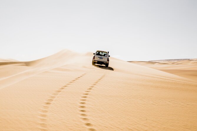 From Cairo: Desert Safari, Waterfalls, Sand Boarding and Camel Ride With Lunch - Key Points