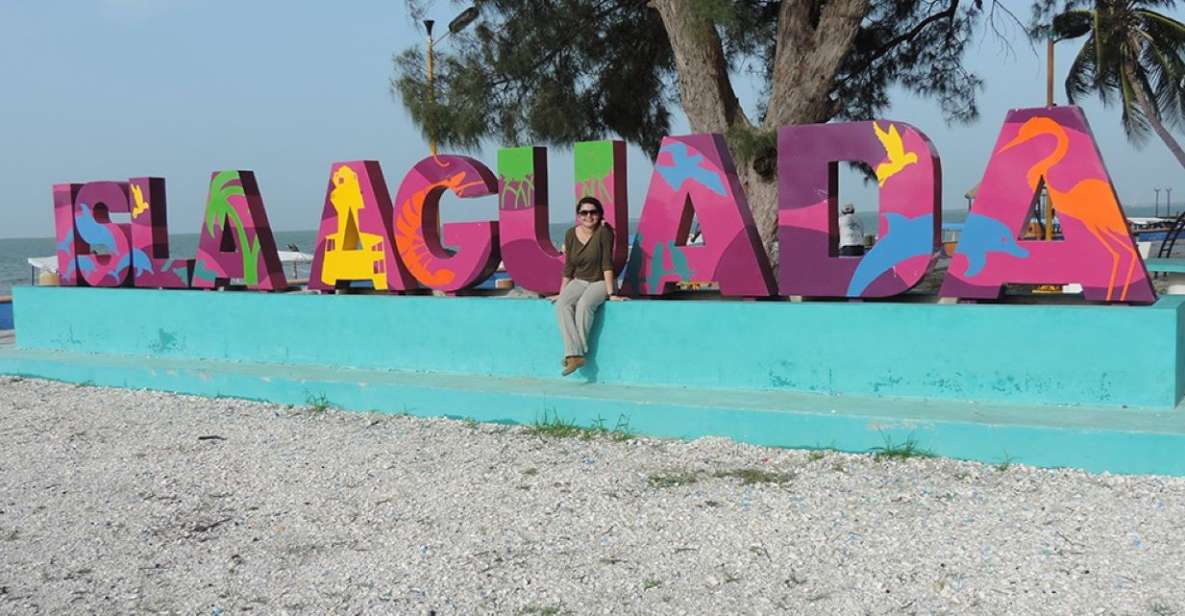 From Campeche: Isla Aguada Dolphin Encounter Tour - Key Points