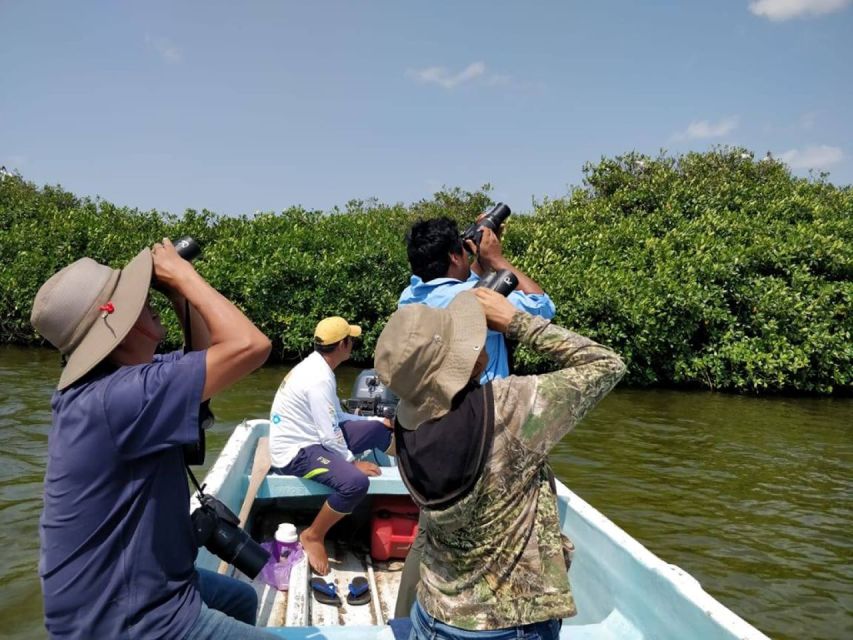 From Campeche: Mamantel River Tour - Key Points