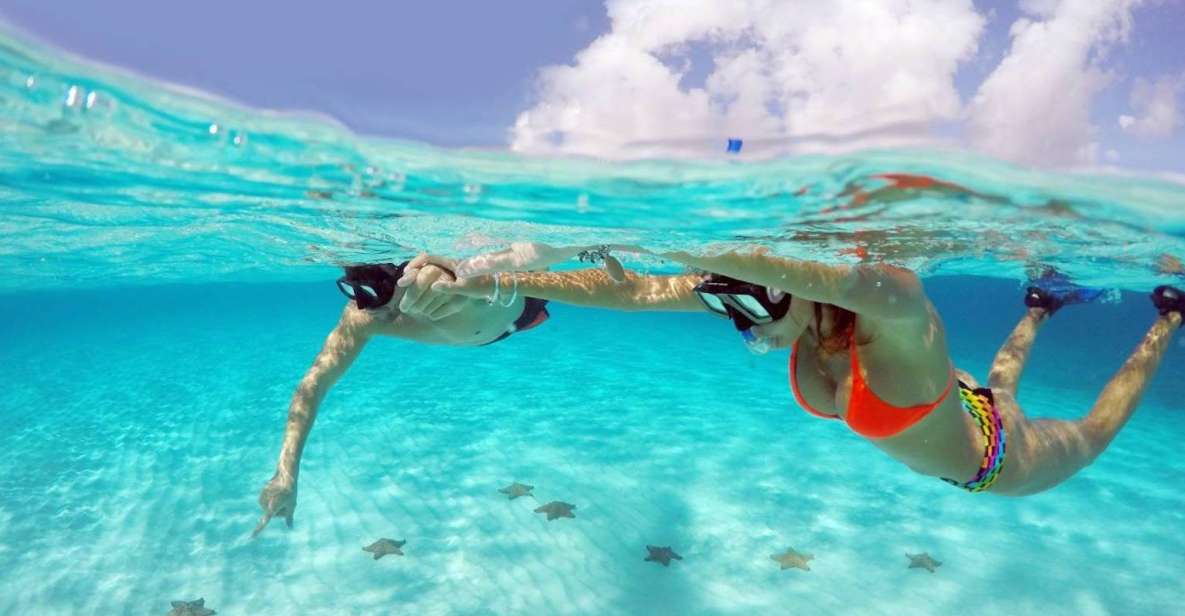 From Cancun and Riviera Maya: Cozumel Snorkeling Tour - Key Points