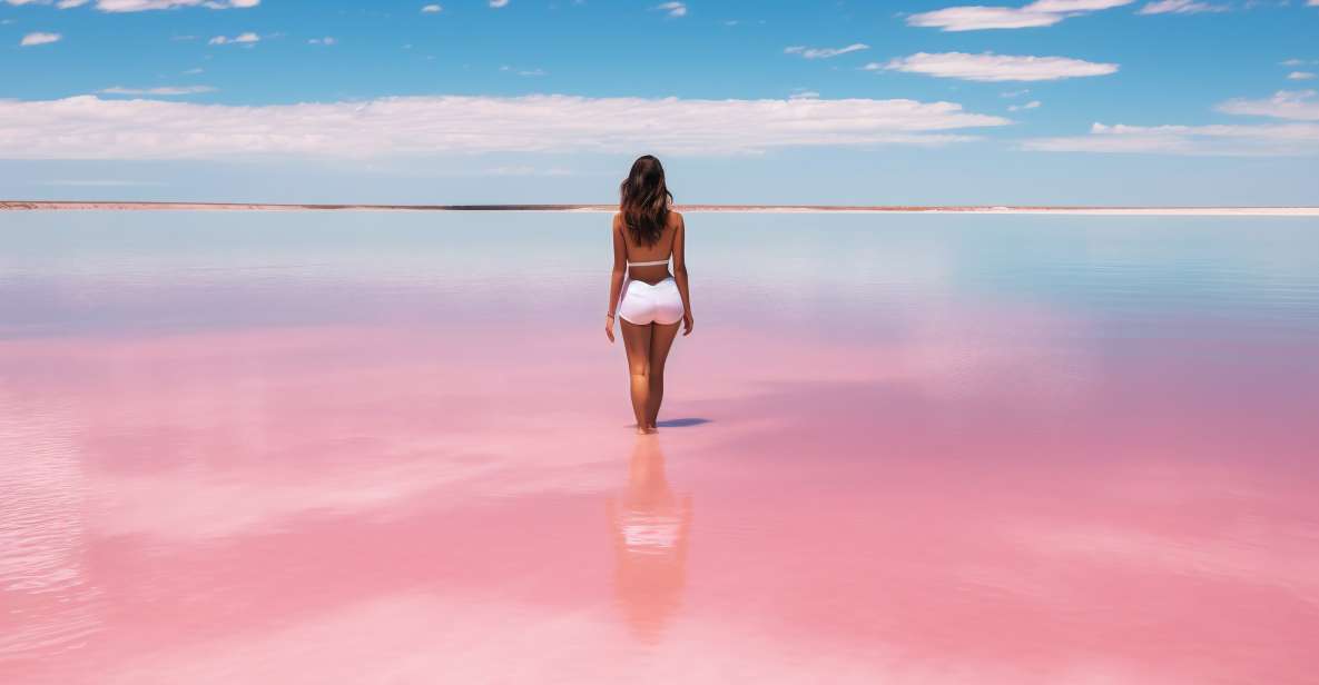 From Cancun: Las Coloradas and Río Lagartos Day Tour - Key Points