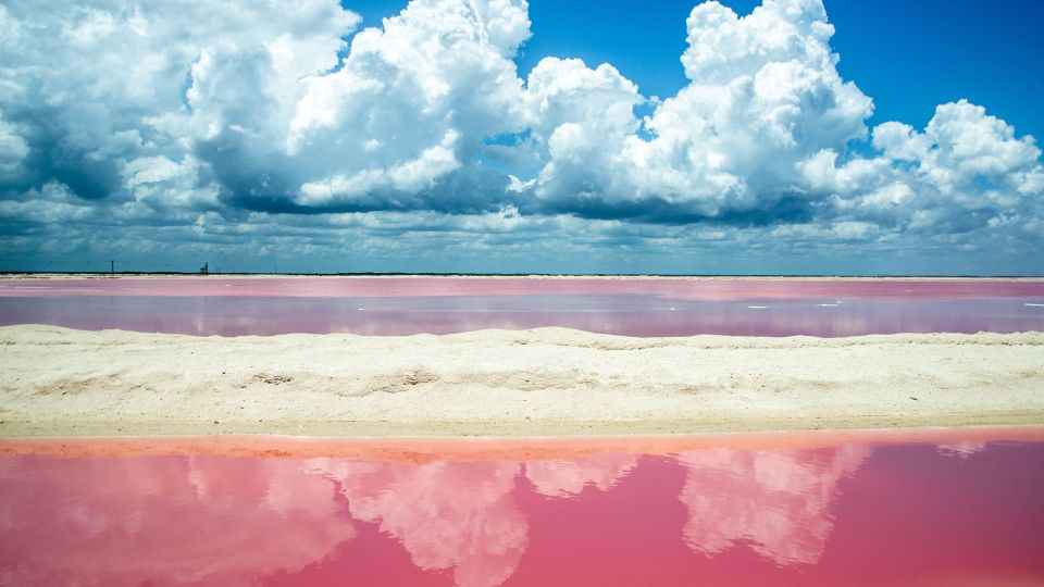 From Cancun: Las Coloradas - Safari & Salt Mining Day Trip - Key Points