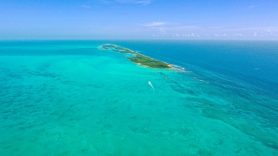 From Cancun or Riviera Maya: Isla Contoy & Isla Mujeres Trip - Key Points
