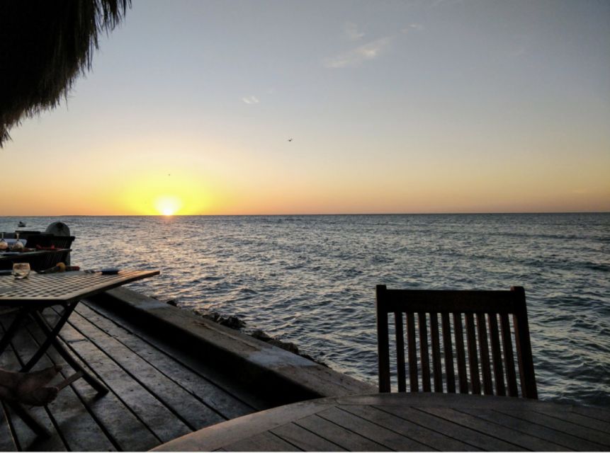 From Cancún/Playa Del Carmen: Holbox Island Tour - Key Points