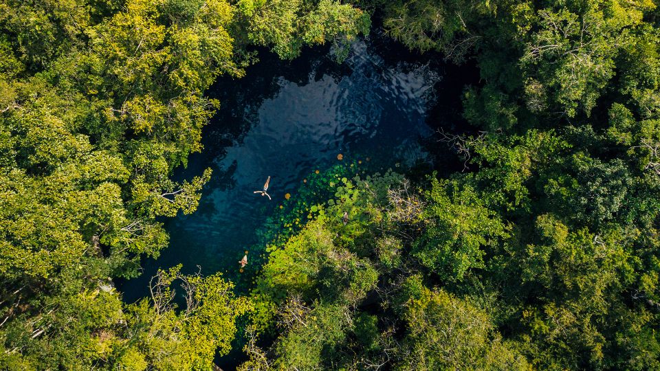 From Cancun & Riviera Maya: Various Cenotes Tour - Key Points