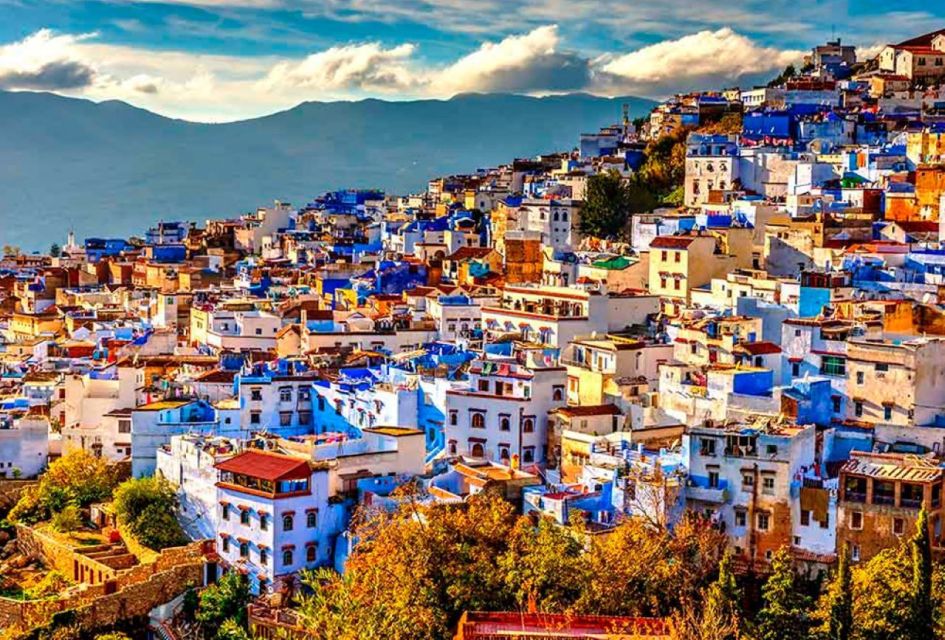 From Casablanca: 3-Day Private Tour to Chefchaouen and Fez - Key Points