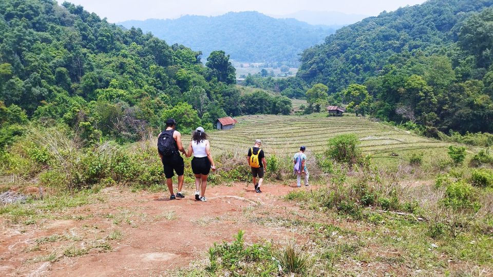 From Chiang Mai: Doi Inthanon National Park Hiking Tour - Key Points