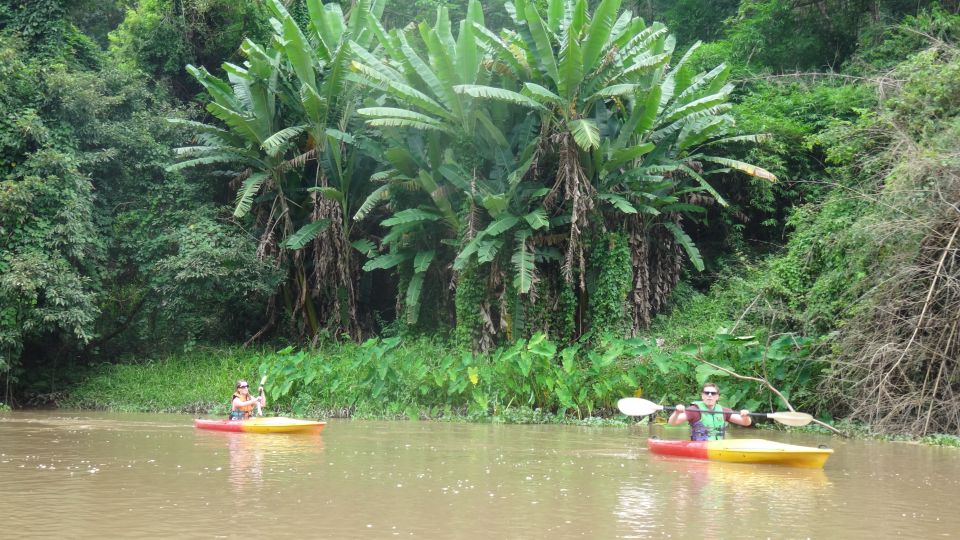 From Chiang Mai: Mae Taeng Forest Full-Day River Kayaking - Key Points