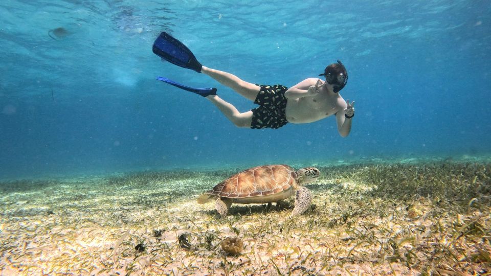 From Cozumel: Snorkel Private Charter to El Cielo & Cielito - Key Points