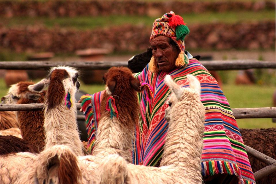 From Cusco: 6-Day Machu Picchu and Cusco Tour - Key Points