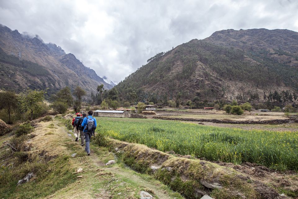 From Cusco: Choquechaca and Pumamarca Private Full-Day Hike - Key Points