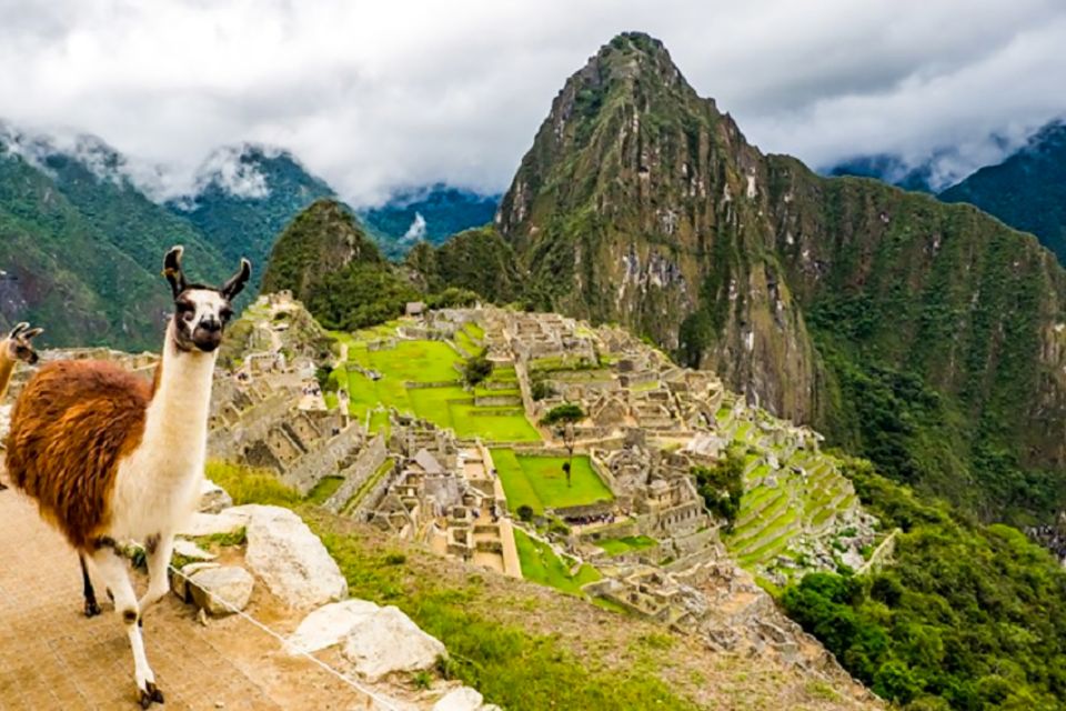 From Cusco: Full-Day Group Tour of Machu Picchu - Key Points