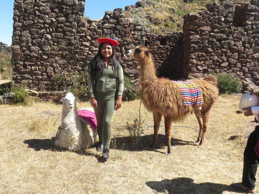 From Cusco: Llama Trekking - Key Points