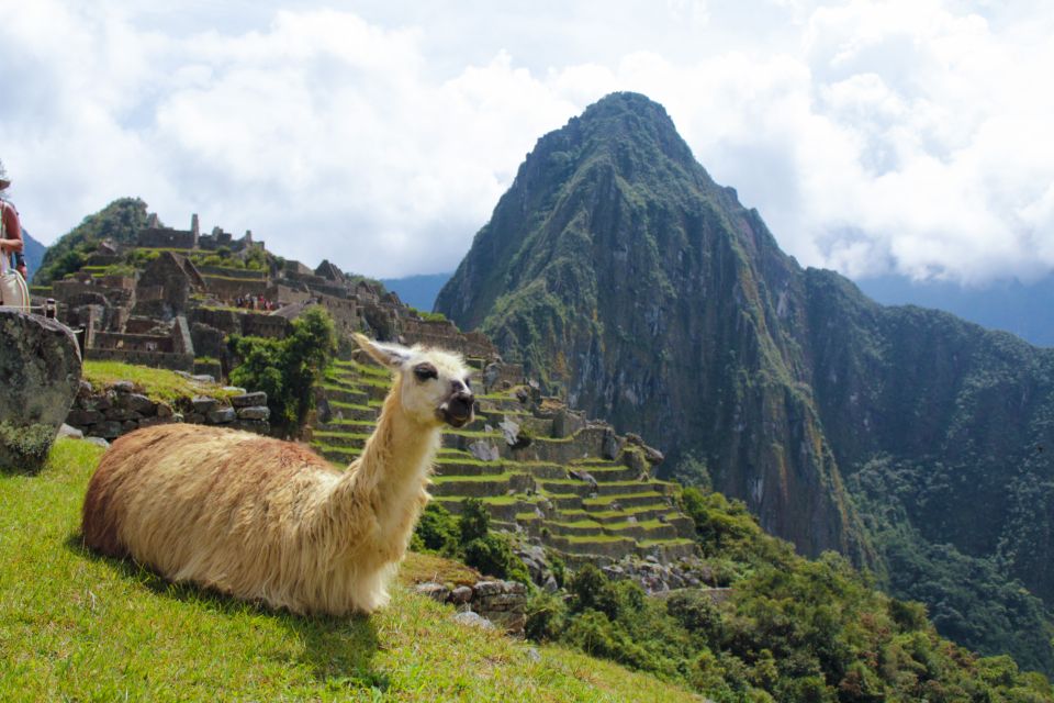 From Cusco: Machu Picchu Day Trip by Vistadome Train - Key Points