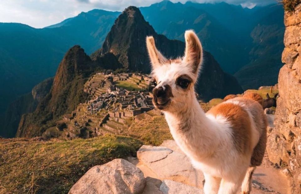 From Cusco: Machu Picchu Private Full-Day Tour With Transfer - Key Points