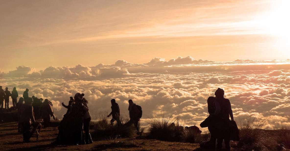 From Cusco: Manu Biosphere Peru 6 Days - Key Points