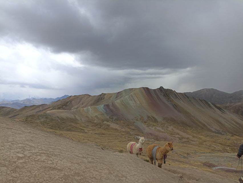 From Cusco: Palccoyo Rainbow Mountain Guided Tour - Key Points