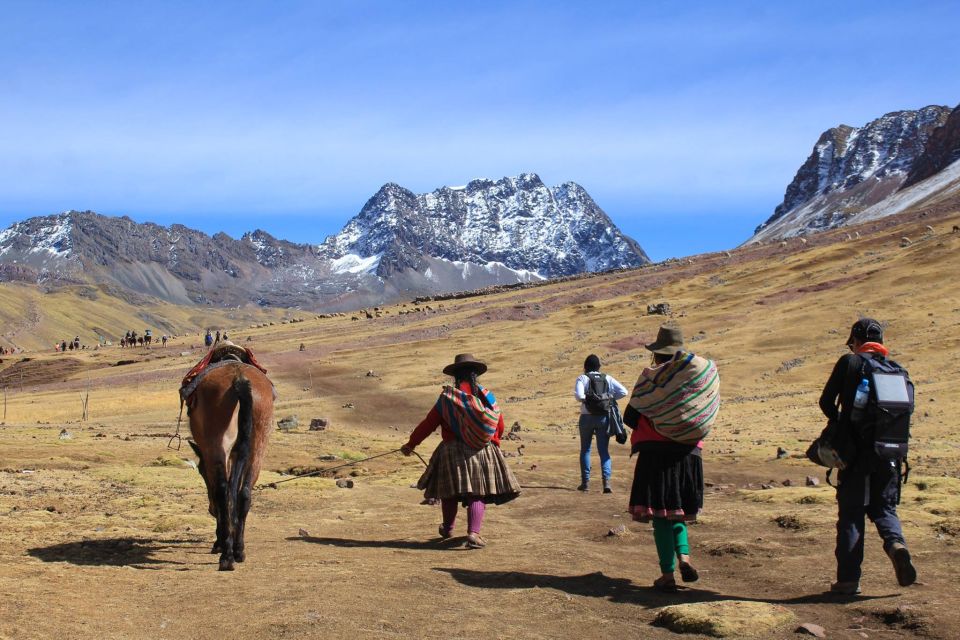 From Cusco Rainbow Mountain With Buffet Lunch and Breakfast - Key Points