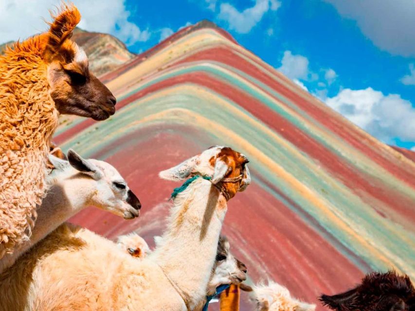 From Cuzco: Rainbow Mountain Adventure Private Tour - Key Points