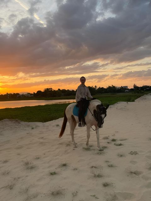 From Da Nang: Half Day Horse Riding and Coconut Boat-Hoi An. - Key Points