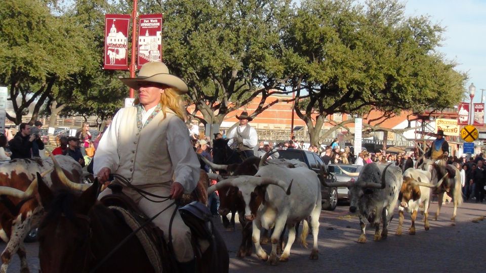 From Dallas: Fort Worth Guided Day Tour - Key Points